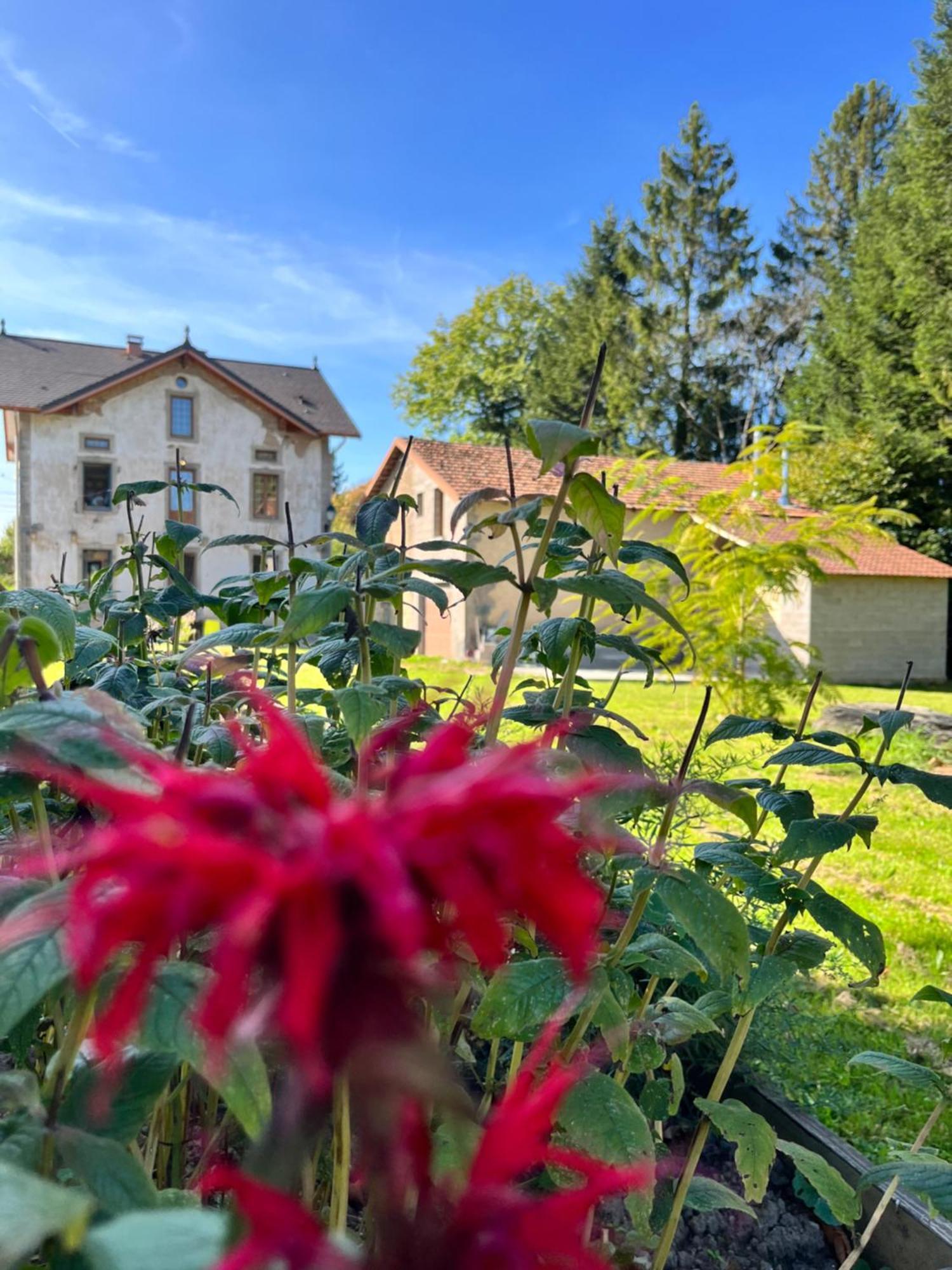 Chambre D'Hote Cosy Domaine Du Bagnerot La Chapelle-aux-Bois 외부 사진